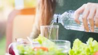 why should you wait 30 minutes to drink after eating when to drink water after meal ayurveda worst time to drink water drinking water after meals cause weight gain how long should you wait to drink after eating drinking hot water after meal is good or bad is it good to drink water immediately after eating? - quora water drinking schedule