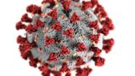 zombie virus