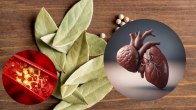 Bay leaf benefits