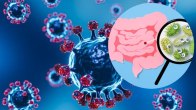 Covid infection and gut health