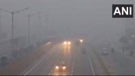 Delhi Dense Fog