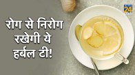 Ginger herbal tea