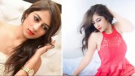 Model Divya Pahuja Murder Case Update