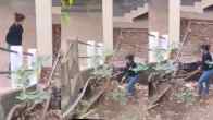 Snake Rescue Viral Video (1)
