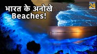 Famous Beaches in India