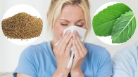 cold and cough home remedies
