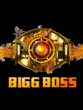 Bigg Boss 17 Logo