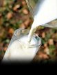 Milk