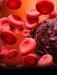 cropped-blood-cancer-symptoms.jpg