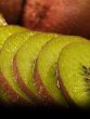 kiwi fruit