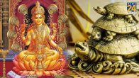 Feng Shui Tips