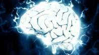 Scientists created small brain