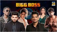 bigg boss 17 contestant