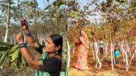 Chhattisgarh women empowerment