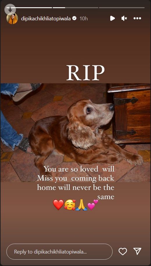 Dipika Chikhlia Pet Dog Passes Away