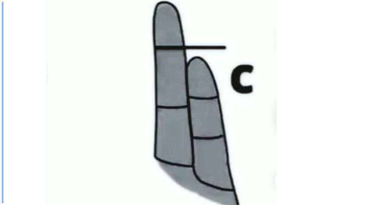 Finger Shape Palmistry