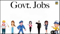 Government Job