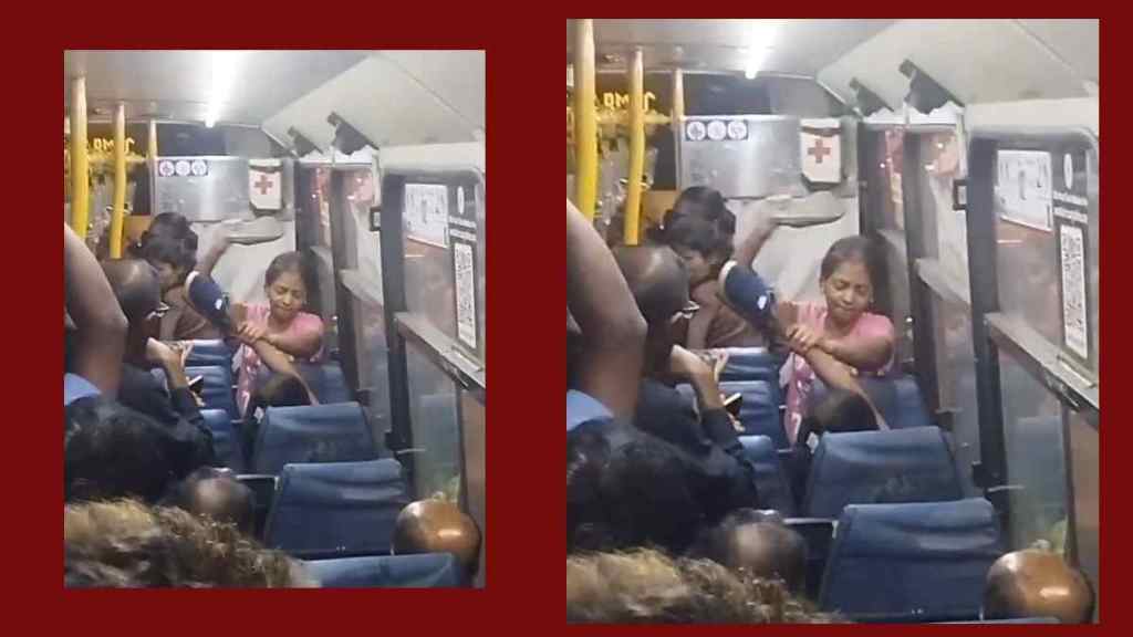 Girl Bus Fight