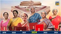 Nirmala Sitharaman Saree Color Message look