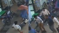 Street Dog Attack