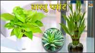Vastu Shastra