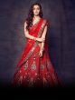 Aliaa bhatt wedding lehenga