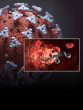 Dangerous Viruses