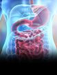 Digestion Bloating Problems