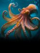 Ocean animal