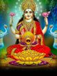 laxmi top