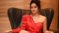 Diya Aur Baati Hum Actress Dipika Singh Jobless
