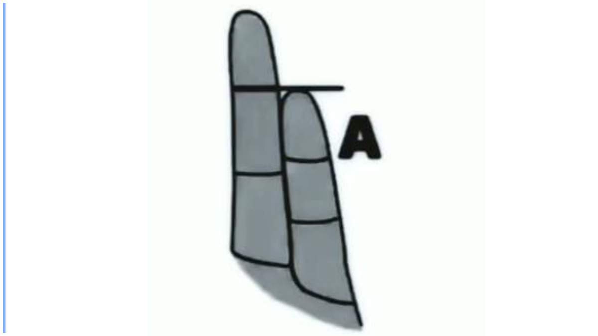 finger astrology