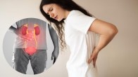 urine infection uti