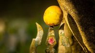 9 lemons sold for Rs 2.3 lakh
