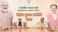 Lok Sabha Election 2024 BJP CEC Meeting