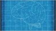Brain Blueprint
