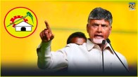 N Chandrababu Naidu TDP