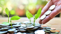 Equity Mutual Funds
