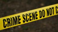 Murder Case