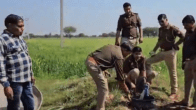 Liquor From Hand Pump