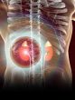 Kidney Damage Symptoms