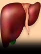 Liver Problems Symptoms