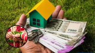 Benefits of buying a house in your wife's name