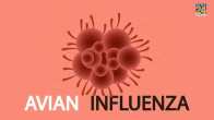 H5N1 Pandemic
