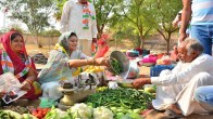 Himanshi Gehlot