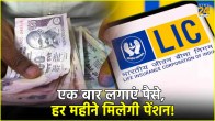 Best LIC Plans 2024