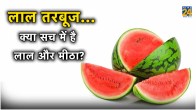 Watermelon Side Effects FSSAI Guidelines