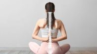 Spine Exercise
