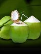 Disadvantages of coconut water