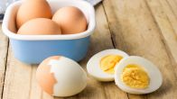 Egg